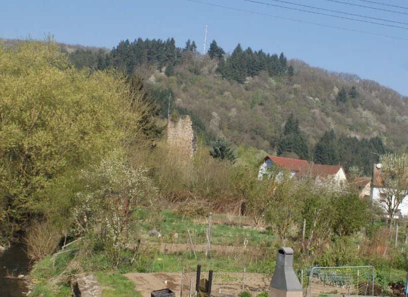 Burg Odenbach, Odenbach, Germany, Germany